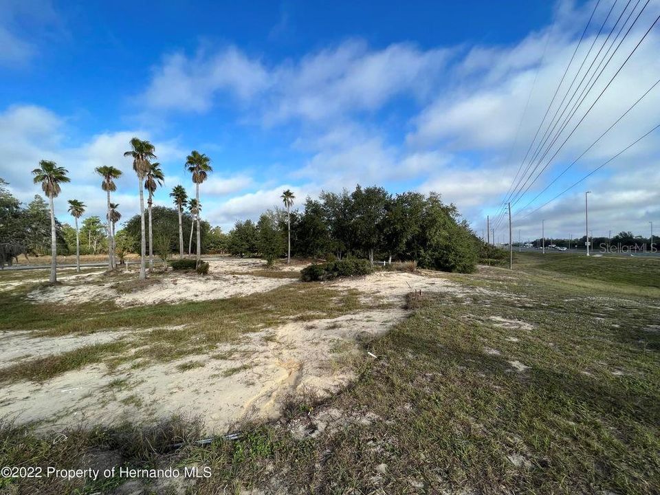 Vacant Land Over 1.3 Acres