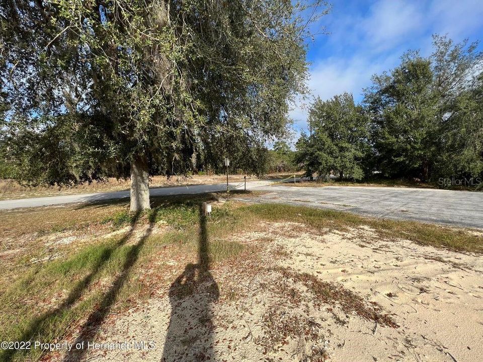 Vacant Land Over 1.3 Acres