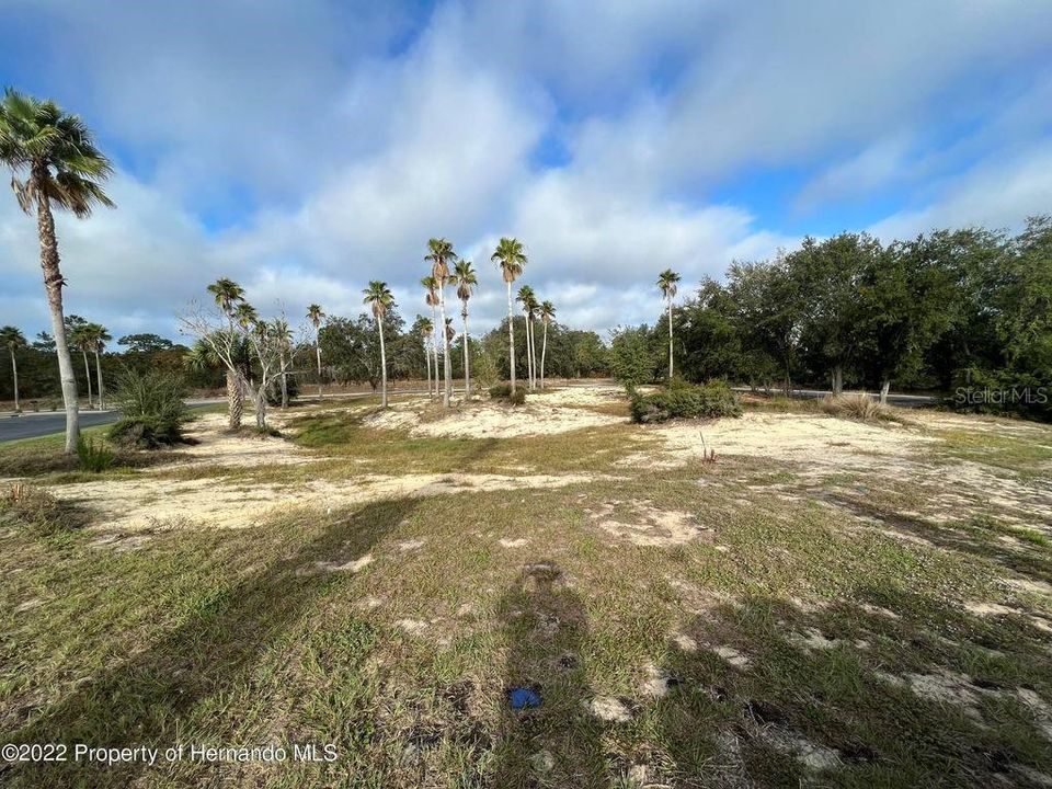 Vacant Land Over 1.3 Acres