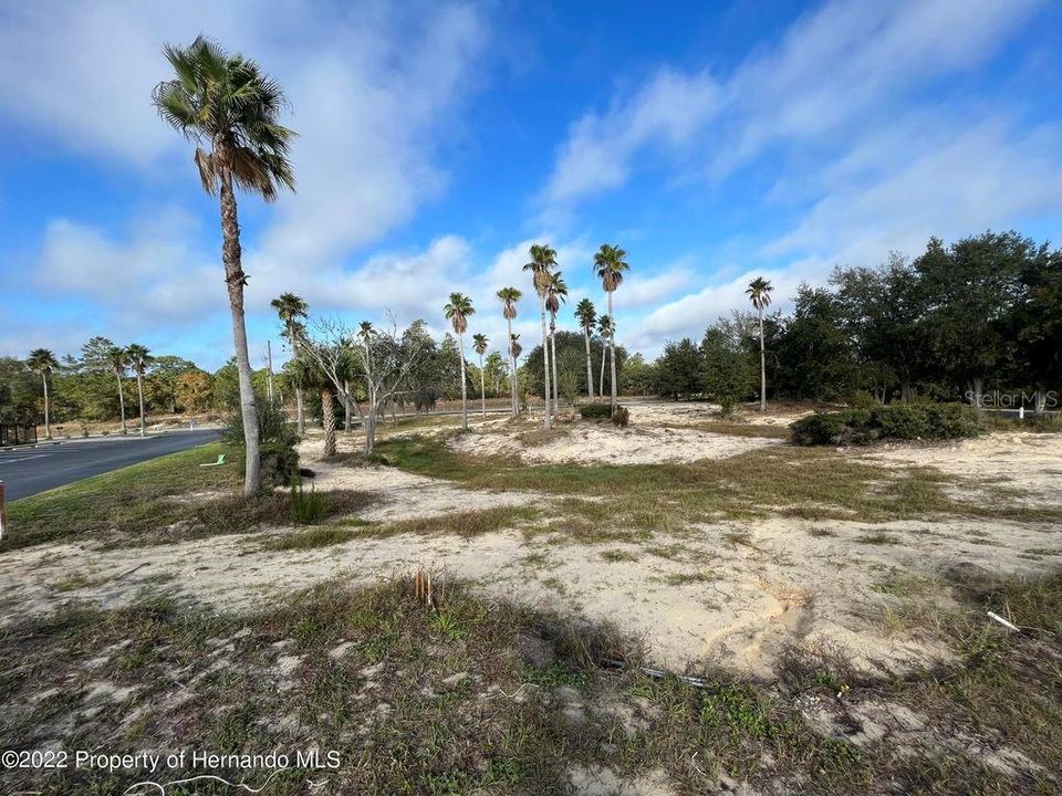 Vacant Land Over 1.3 Acres