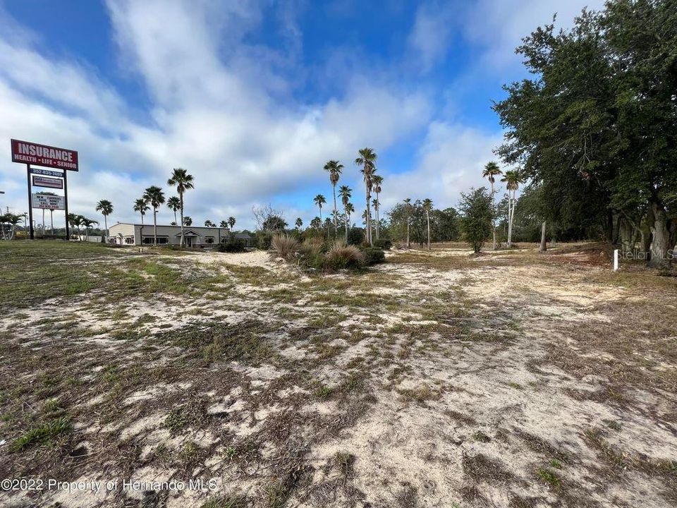 Vacant Land Over 1.3 Acres