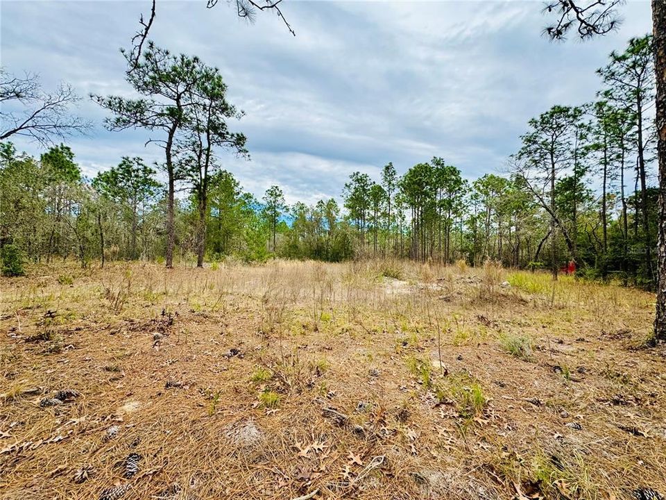 Active With Contract: $45,000 (1.16 acres)