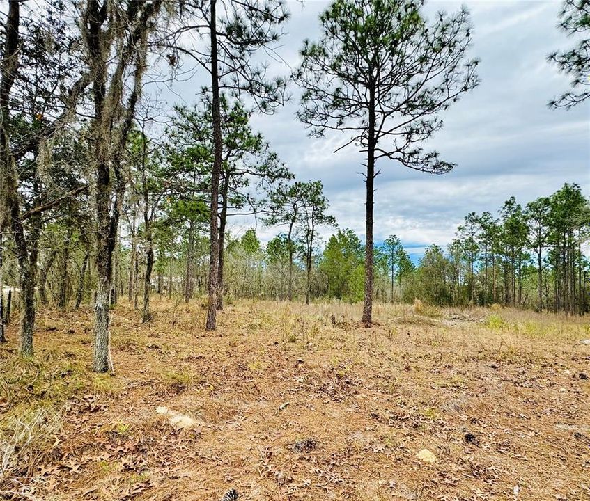 Active With Contract: $45,000 (1.16 acres)