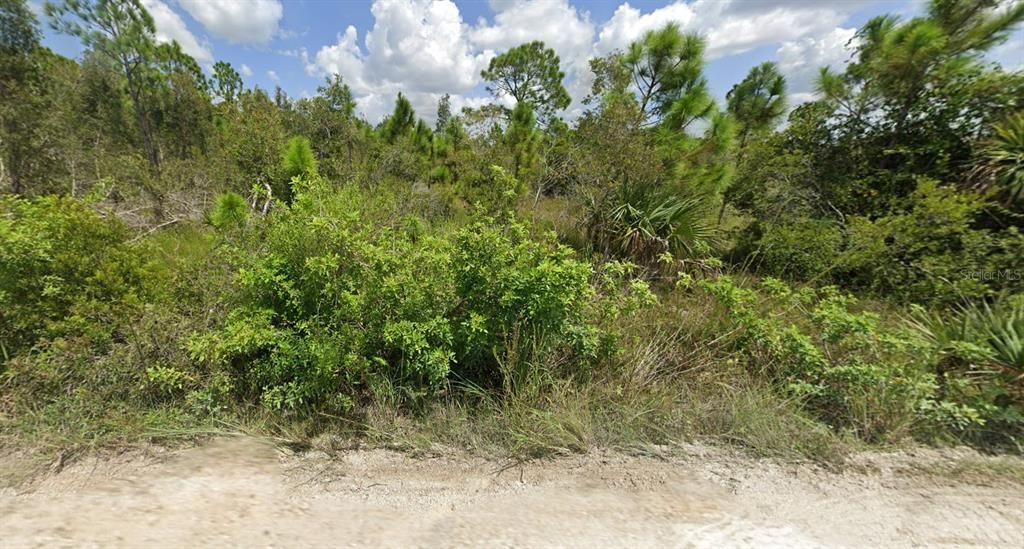 For Sale: $56,000 (1.25 acres)