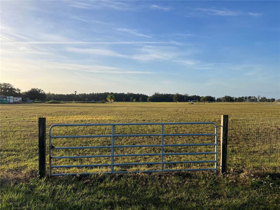 For Sale: $1,049,995 (14.68 acres)