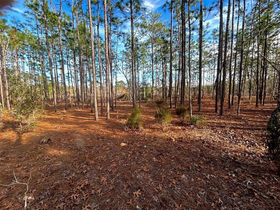 Recently Sold: $58,000 (5.04 acres)