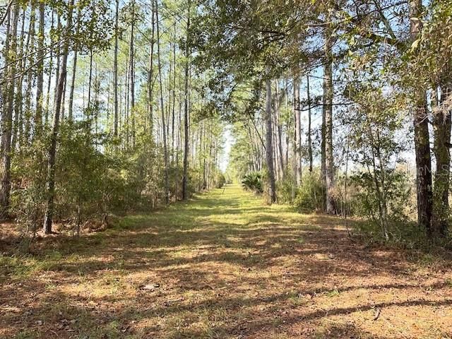 Recently Sold: $500,000 (19.93 acres)