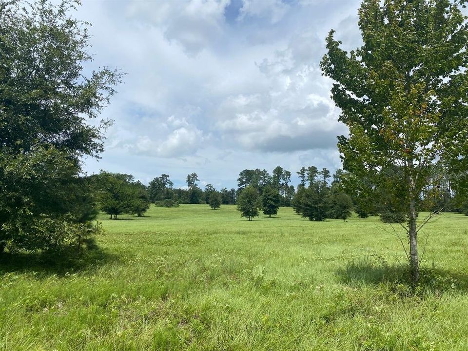 Recently Sold: $500,000 (19.93 acres)