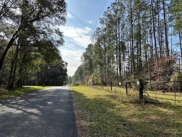 Quiet Country Road