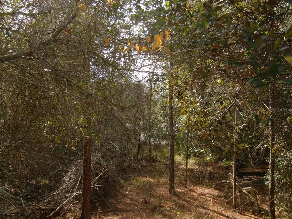 Active With Contract: $18,500 (0.49 acres)