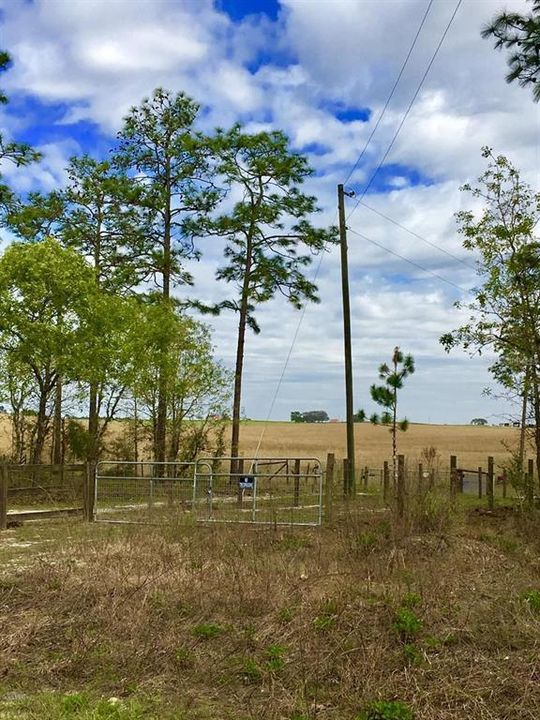 最近售出: $59,000 (3.00 acres)