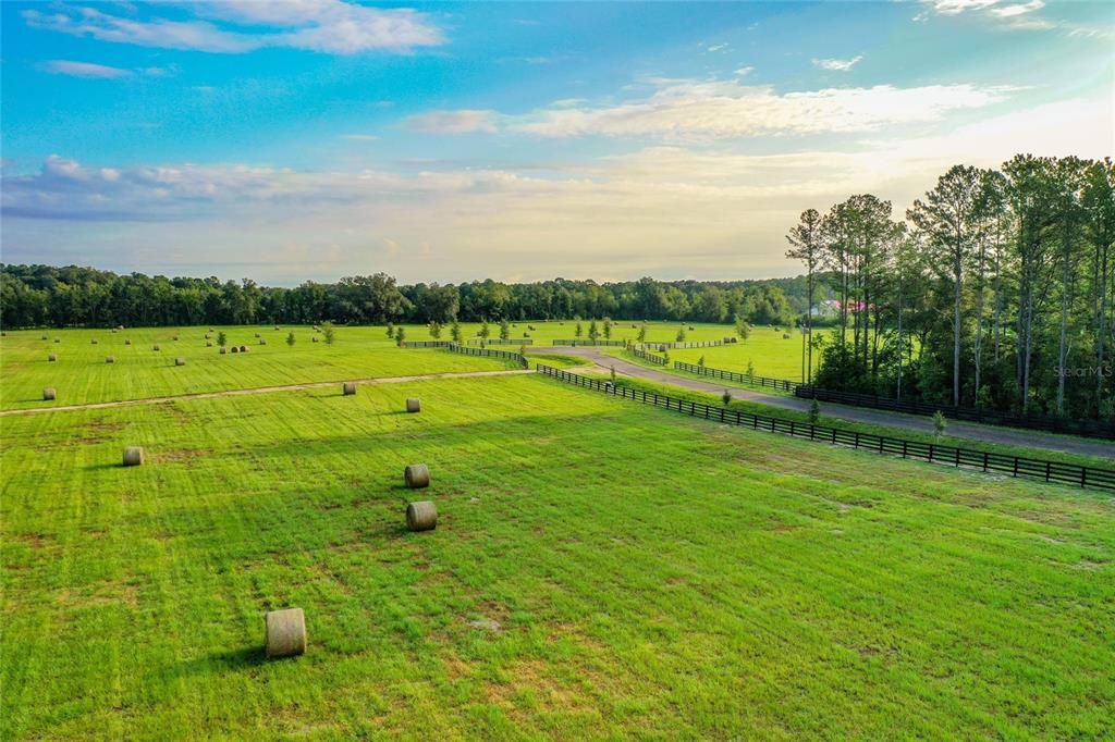 For Sale: $385,000 (4.99 acres)