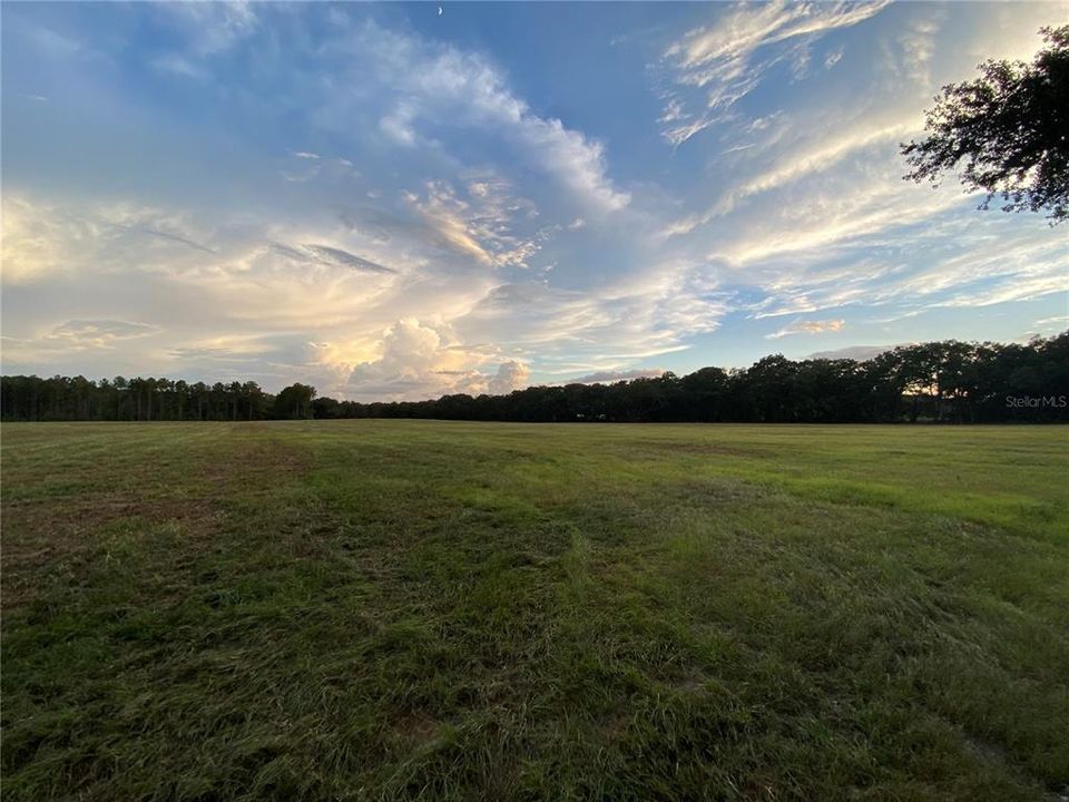For Sale: $385,000 (4.99 acres)