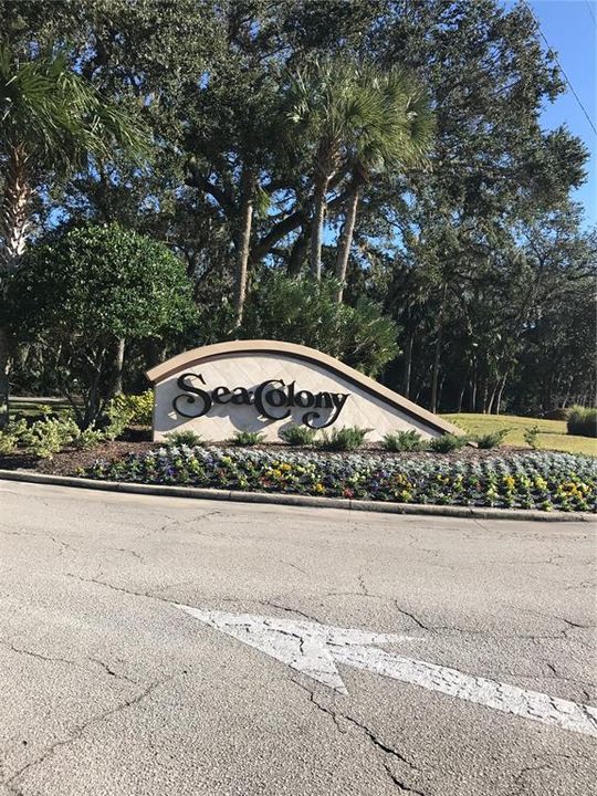 Welcome to Sea Colony Oceanfront GATED Community