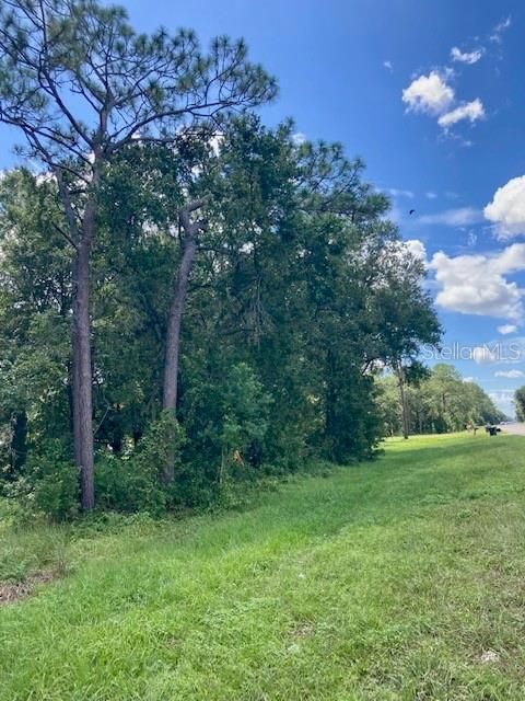 Recently Sold: $42,000 (0.94 acres)