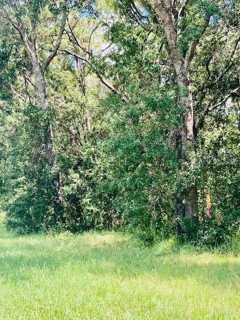 Recently Sold: $42,000 (0.94 acres)