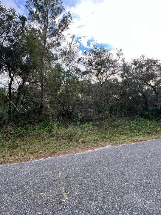 Recently Sold: $9,999 (0.23 acres)