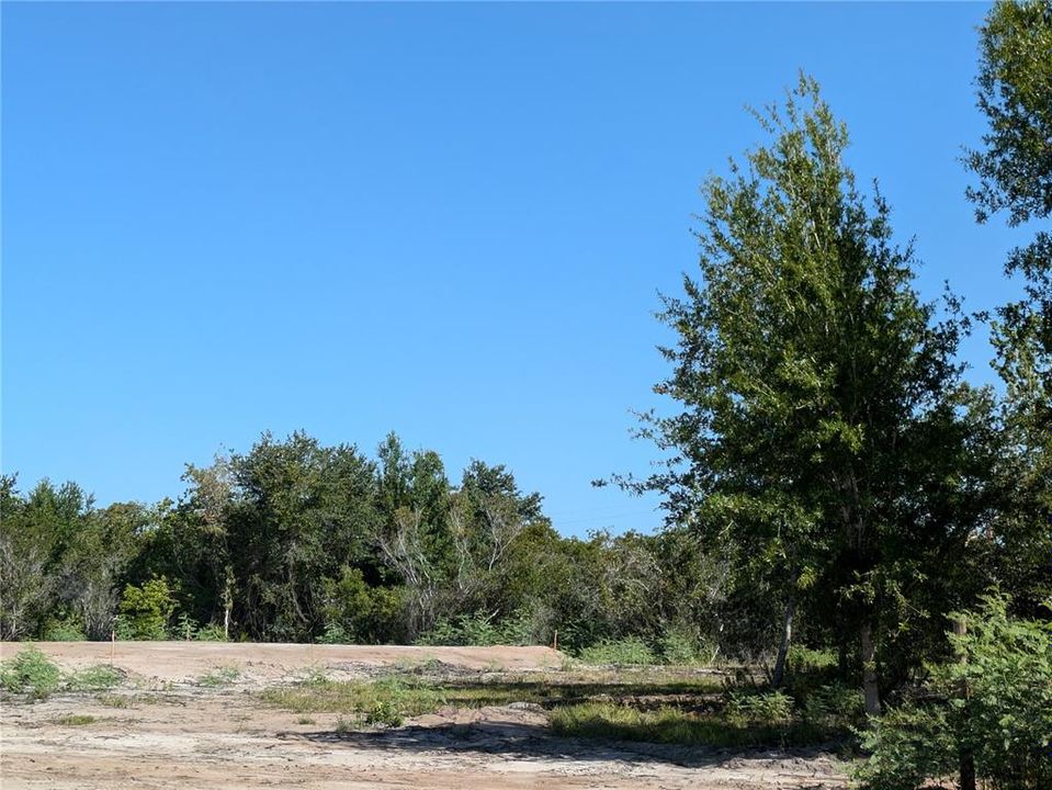 En Venta: $140,000 (1.16 acres)