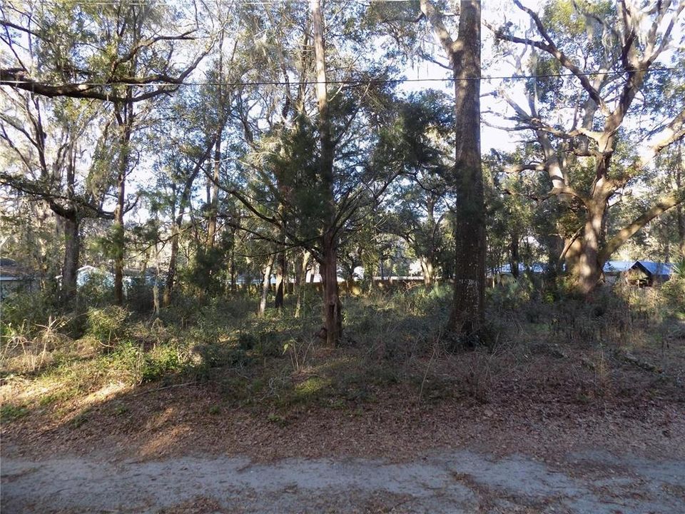 For Sale: $29,900 (0.35 acres)