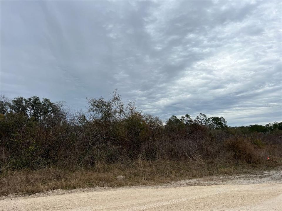 For Sale: $18,999 (0.55 acres)