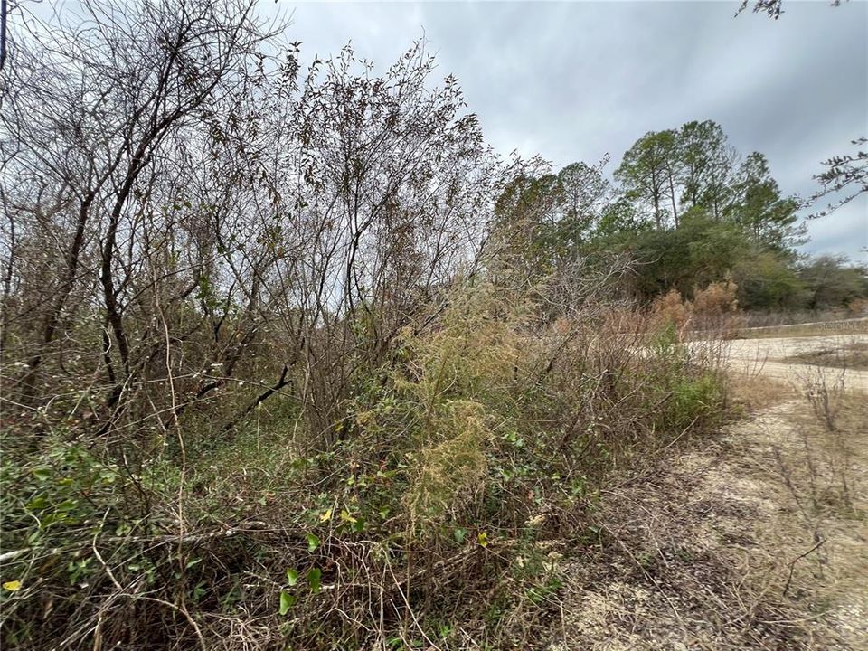 For Sale: $18,999 (0.55 acres)