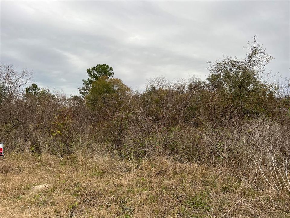 For Sale: $18,999 (0.55 acres)