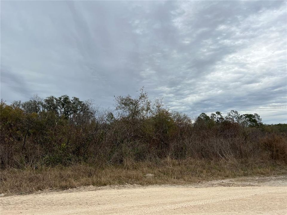 For Sale: $18,999 (0.55 acres)