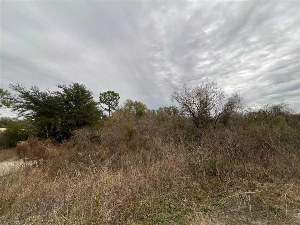 For Sale: $18,999 (0.55 acres)