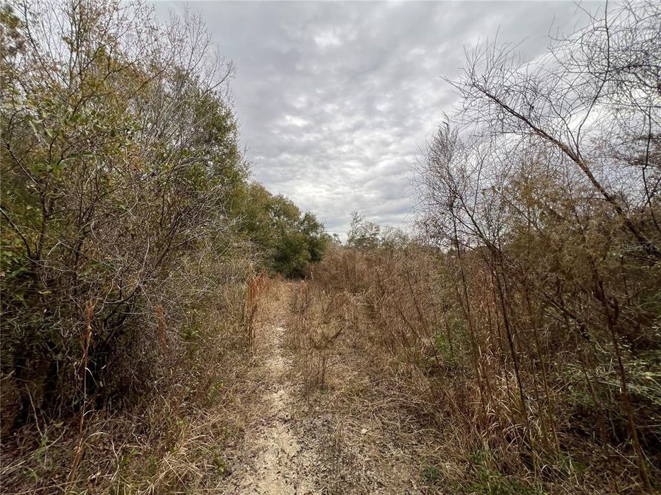 For Sale: $18,999 (0.55 acres)