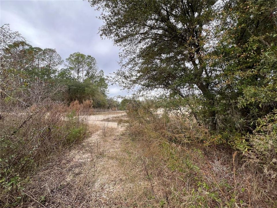 For Sale: $18,999 (0.55 acres)