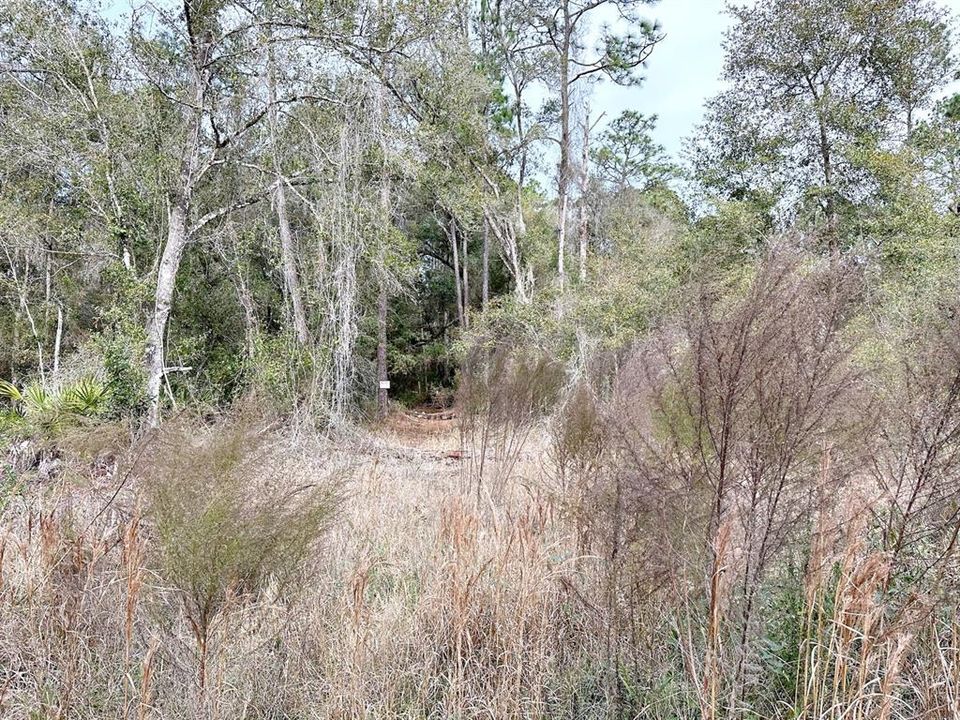 Vendido Recientemente: $29,900 (0.99 acres)