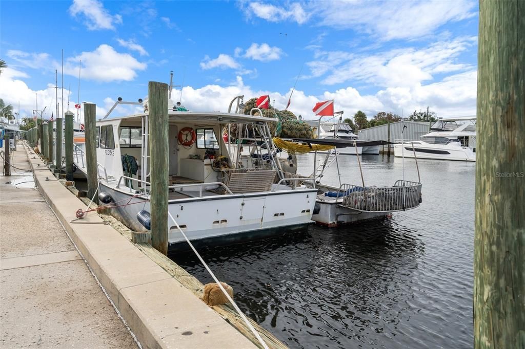 Sponge Docks within walking distance