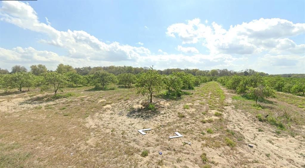 For Sale: $499,999 (8.87 acres)