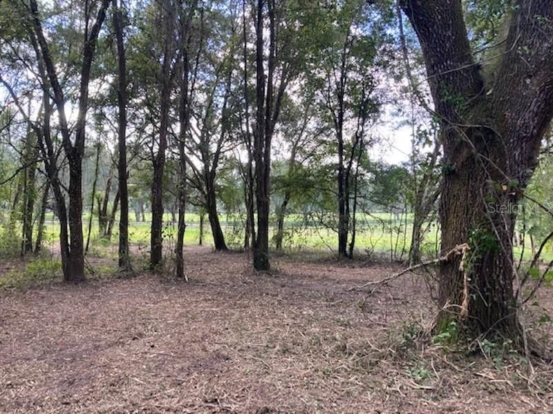 Vendido Recientemente: $129,000 (8.39 acres)