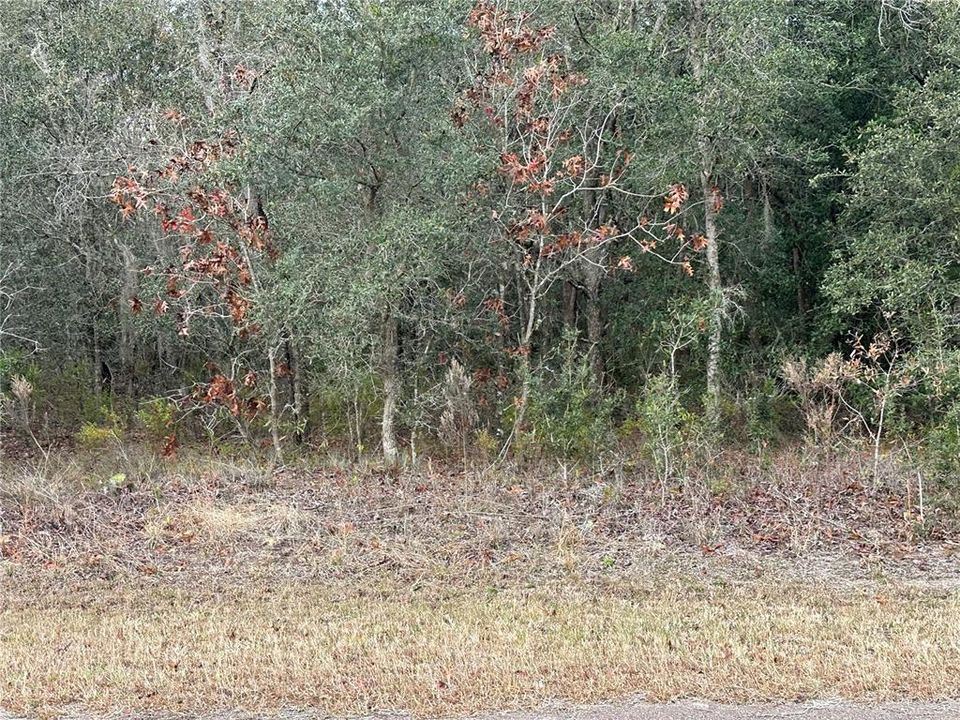 Recently Sold: $48,000 (1.24 acres)