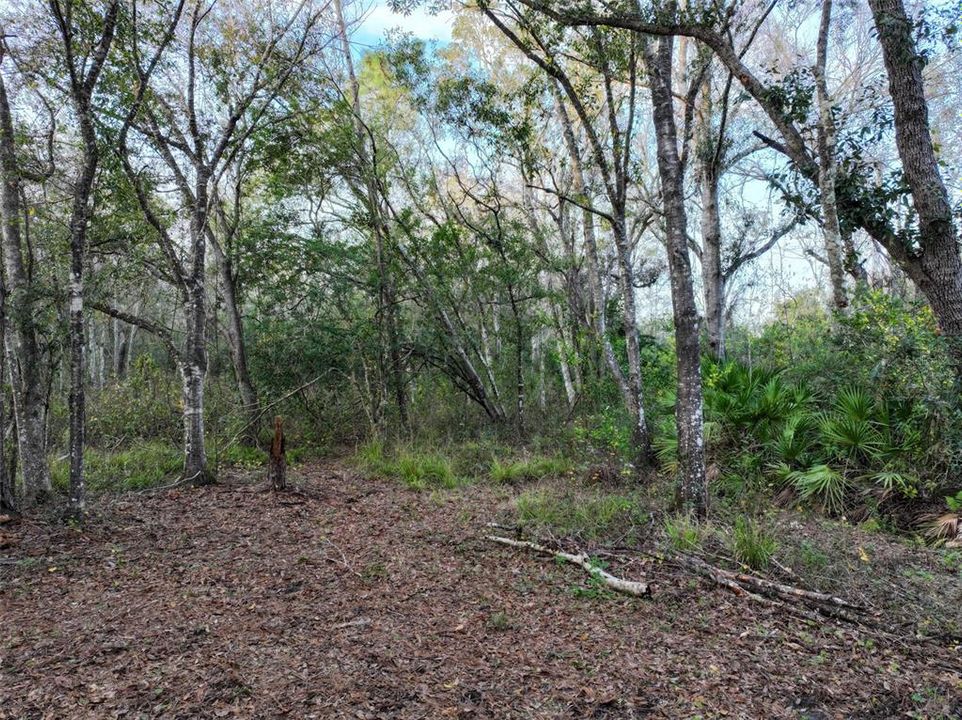 Vendido Recientemente: $250,000 (5.00 acres)