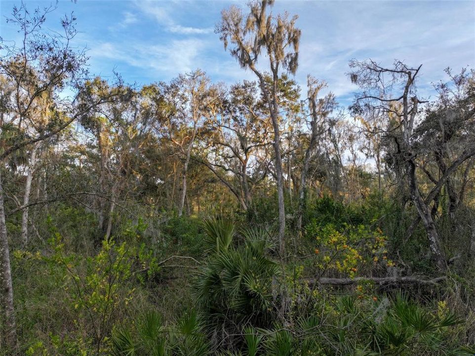 Недавно продано: $250,000 (5.00 acres)