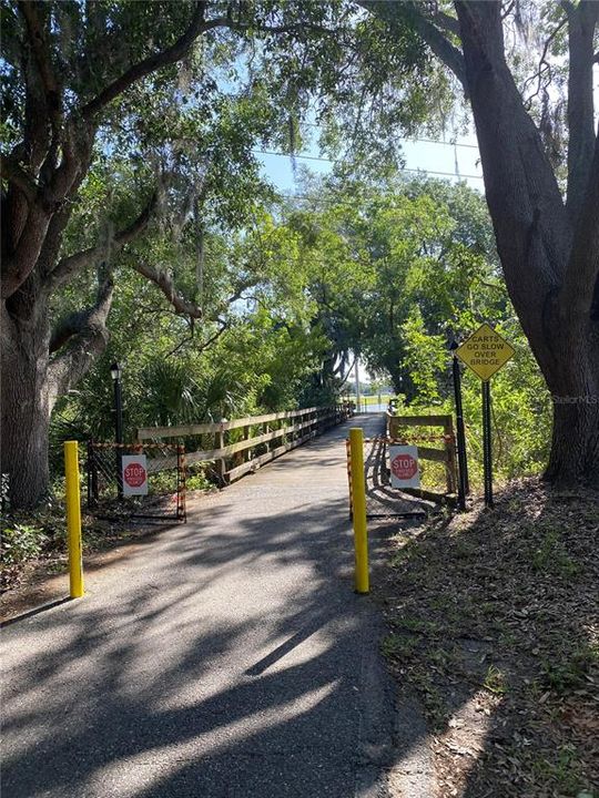 Golf cart bridge