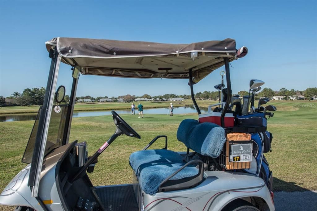 Golf Cart community