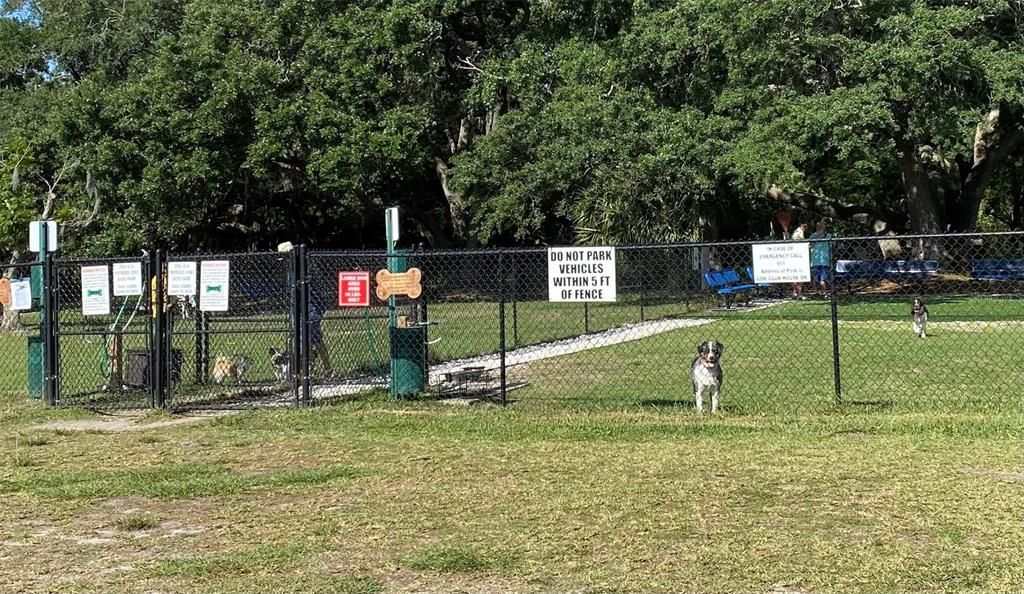 The dog park