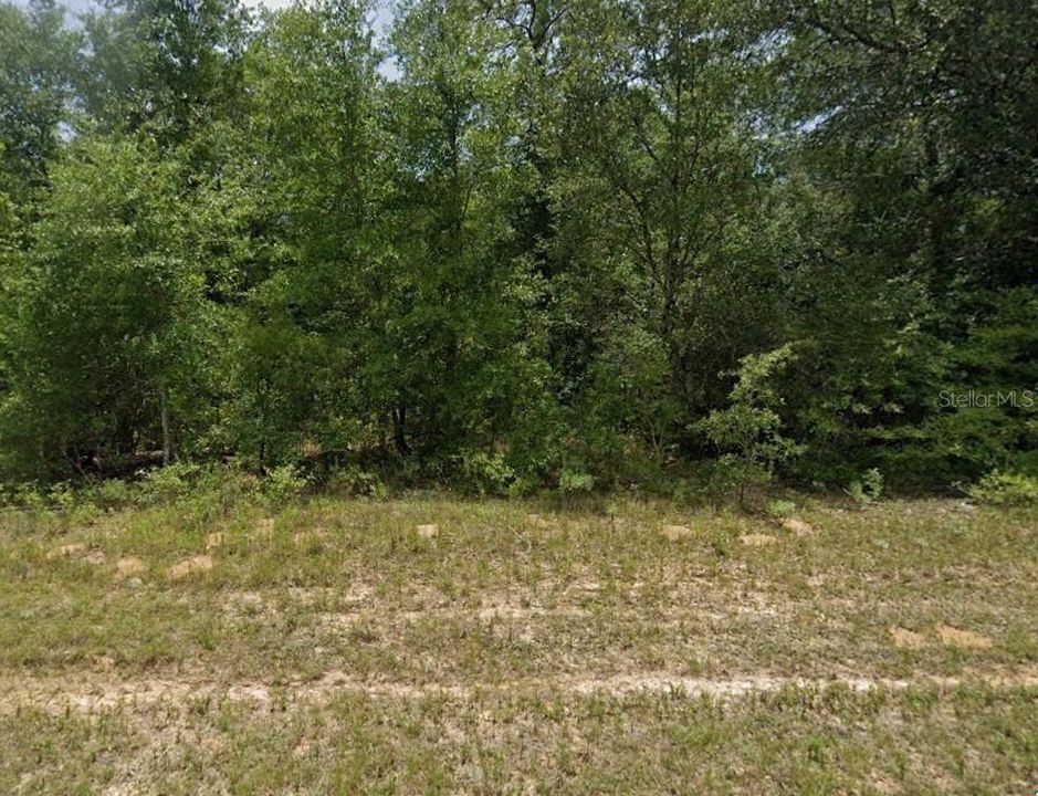 For Sale: $14,900 (0.39 acres)