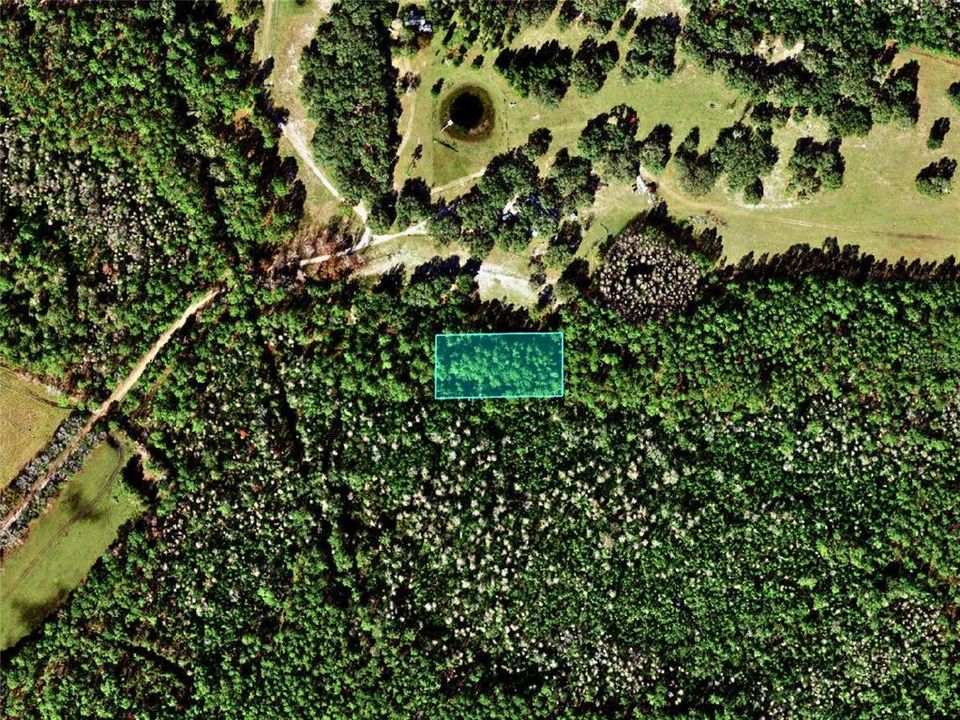 For Sale: $8,995 (1.25 acres)