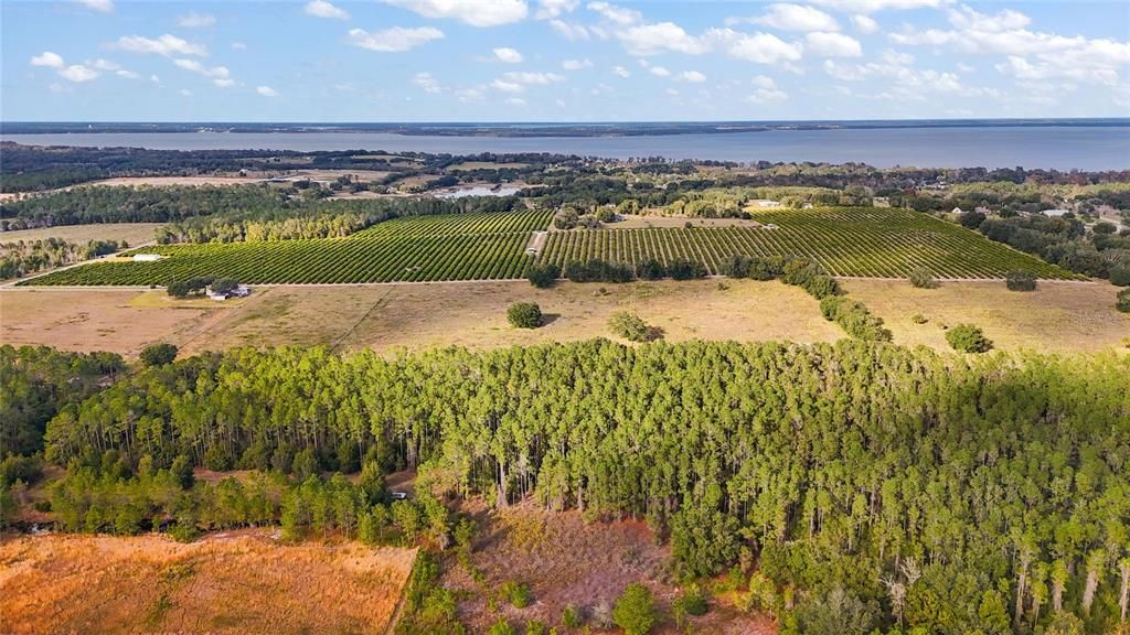 На продажу: $2,900,000 (60.00 acres)