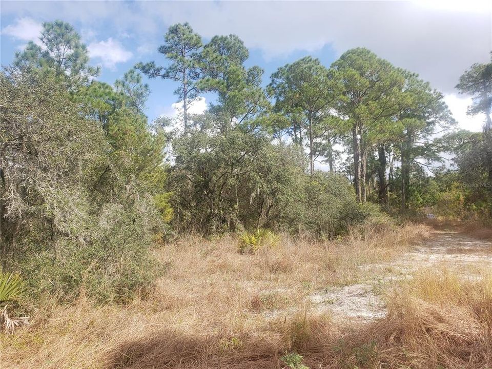 For Sale: $29,990 (0.23 acres)