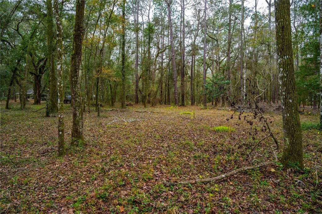 For Sale: $124,998 (3.83 acres)