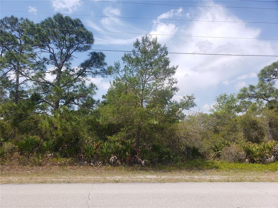 For Sale: $24,900 (0.26 acres)