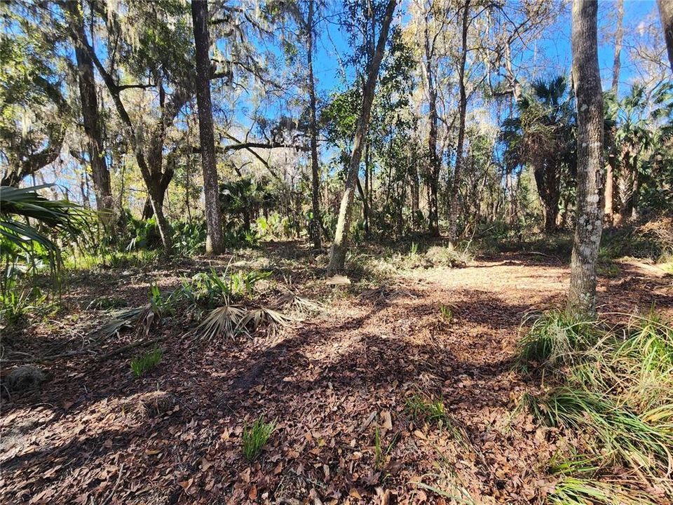 Recently Sold: $60,000 (6.06 acres)