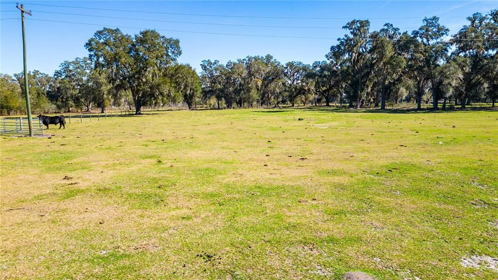 For Sale: $275,000 (9.79 acres)