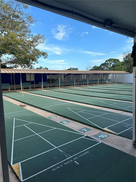 Shuffle Board Time!