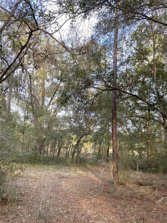 Recently Sold: $43,000 (5.00 acres)